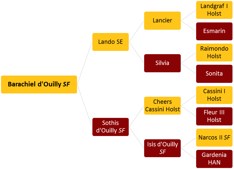 Barachiel d'Ouilly SF - Tree