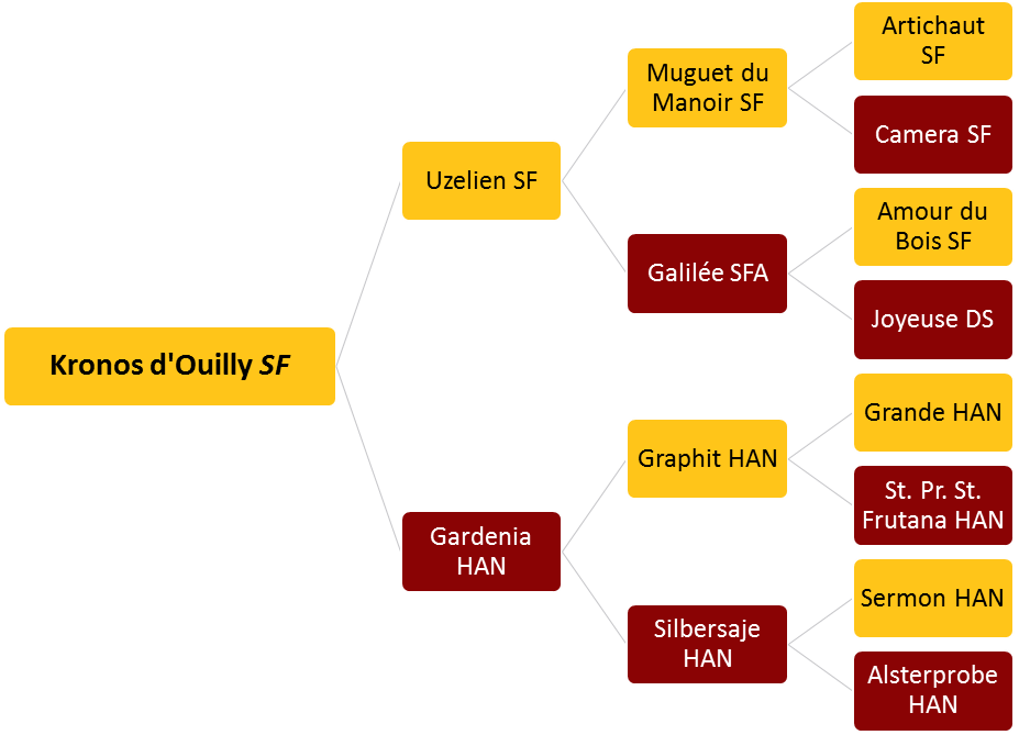 Kronos d'Ouilly SF - Tree