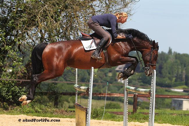 Osiris d'Ouilly chez Marc Dilasser