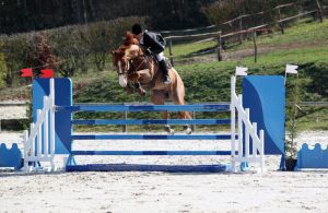 Qeops d'Ouilly chez Ragan Roberts
