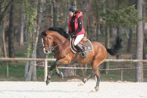 Quidao Louwenn au BIP de Fontainebleau