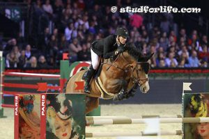 gucci masters - Haras d'Ouilly