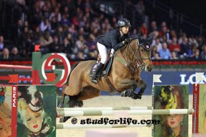 gucci masters - Haras d'Ouilly