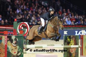 gucci masters - Haras d'Ouilly