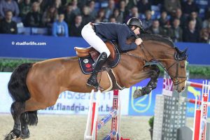 Haras d'Ouilly - Kronos