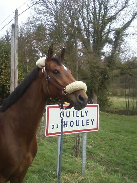 jubilée d'Ouilly - back home