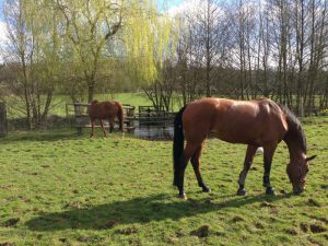 jubilee d'Ouilly et Nausicaa