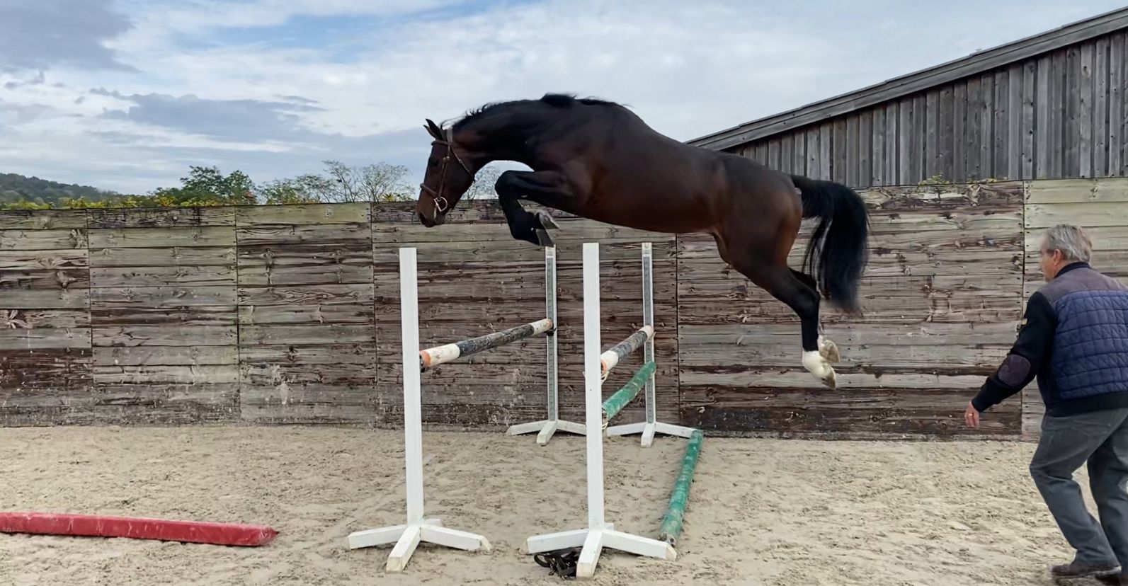 Free jumping, horse Mazepa, with his trainer.